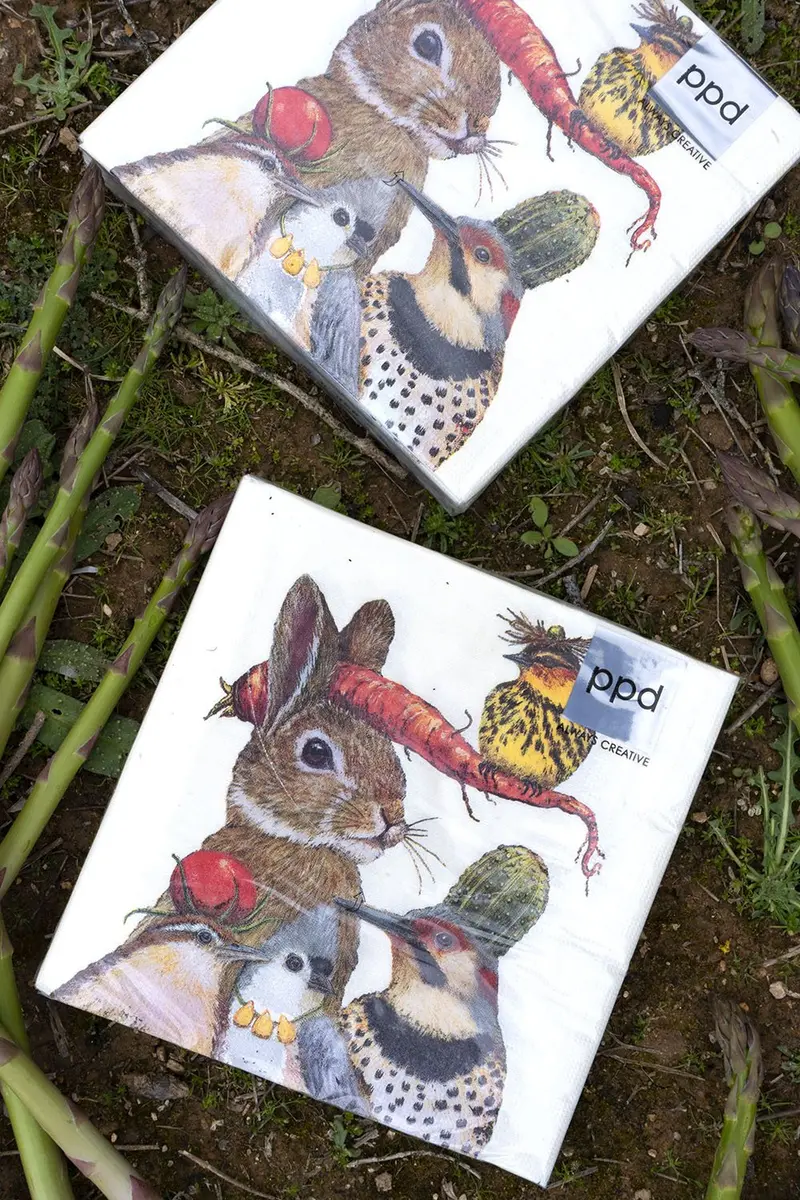 Servilletas Conejo Y Aves Grandes