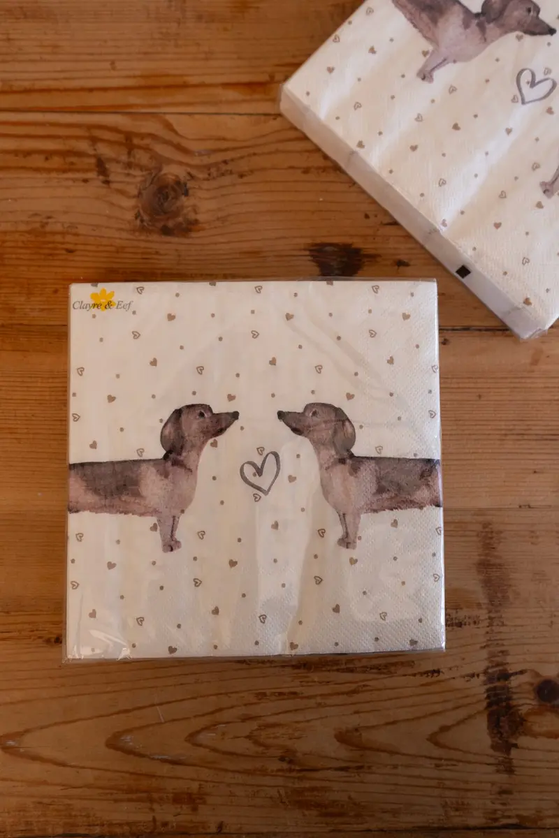 Servilletas De Papel Con Diseño De Teckel
