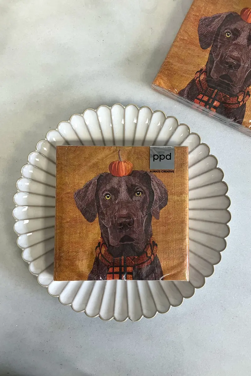 Servilletas Perro & Calabaza Grandes