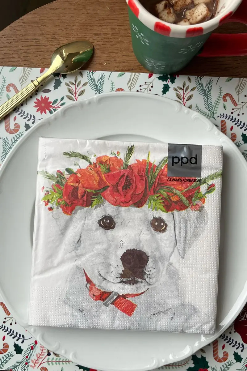 Servilletas Perro Labrador Grandes