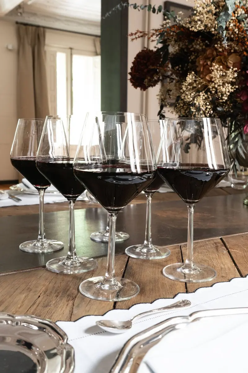Set 6 Copas Vino Tinto Cristalería Sommelier