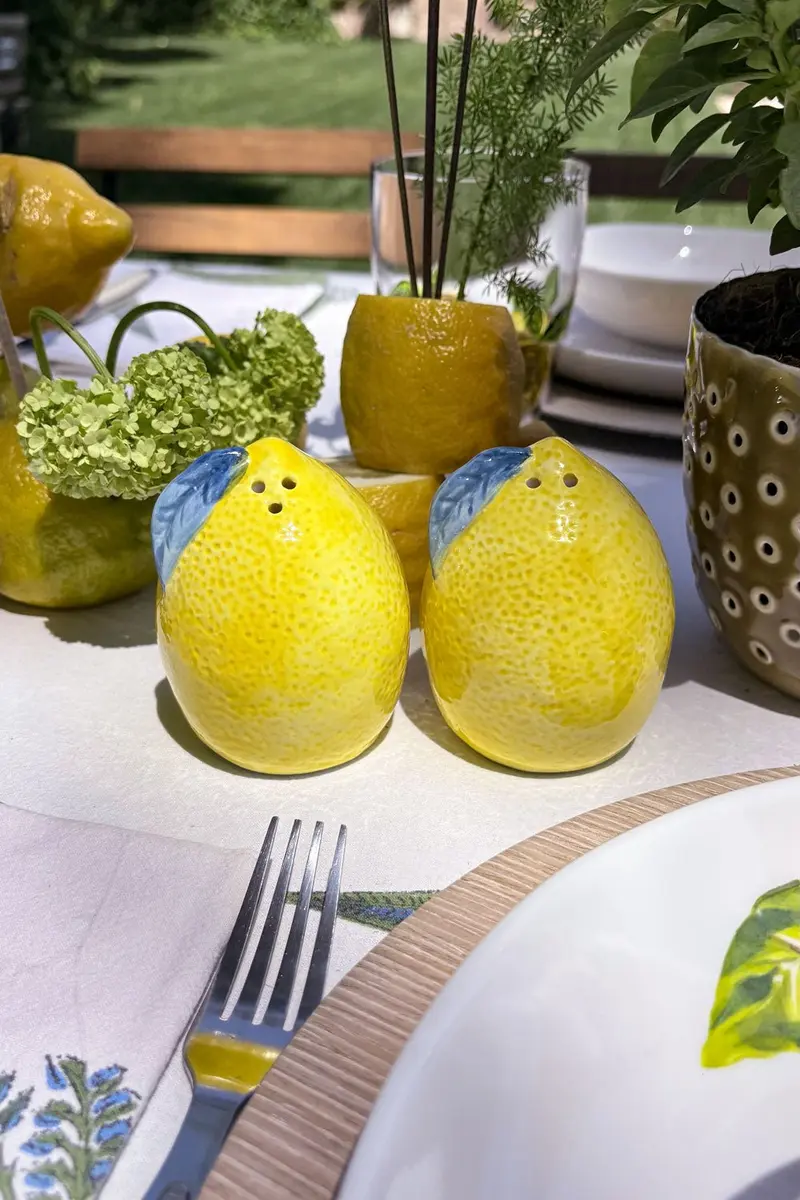 Set Salero & Pimentero Diseño Limones