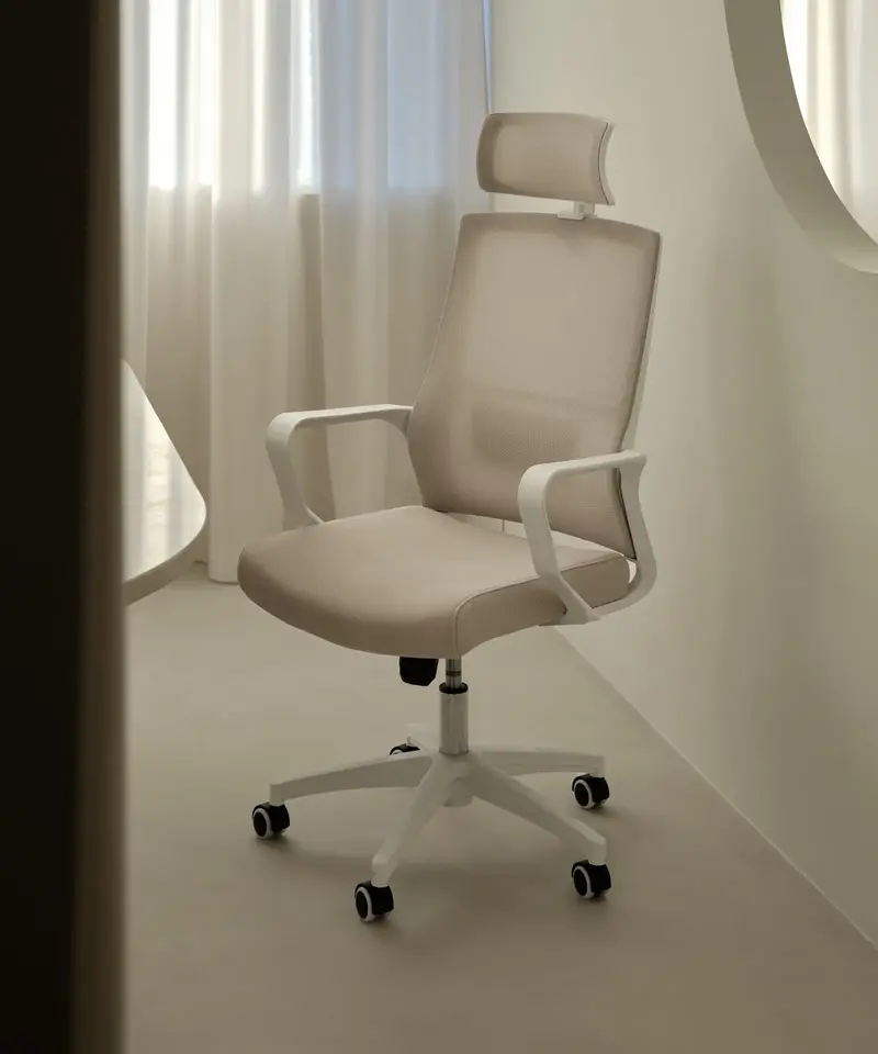 Silla Oficina Ergonómica de Nylon y Polipropileno Zenith