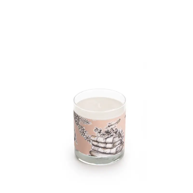 Vela aromática Mis Momentos 220 gr - FRAGANCIA DE ALMIZCLE