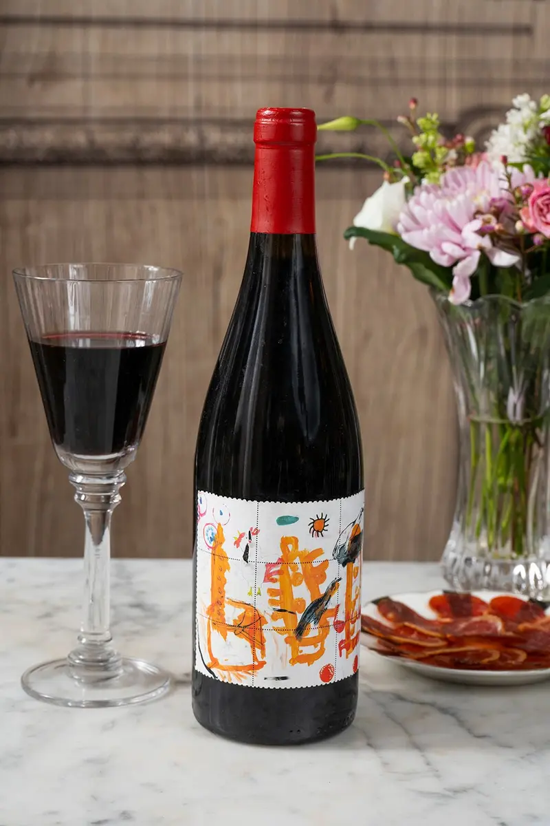 Vino Gallinas Y Focas