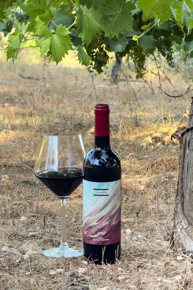 Vino Tinto Senda Crianza 2021 CO